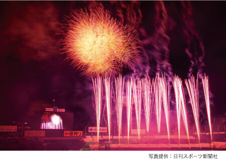 photo_jinguhanabi02024.jpg